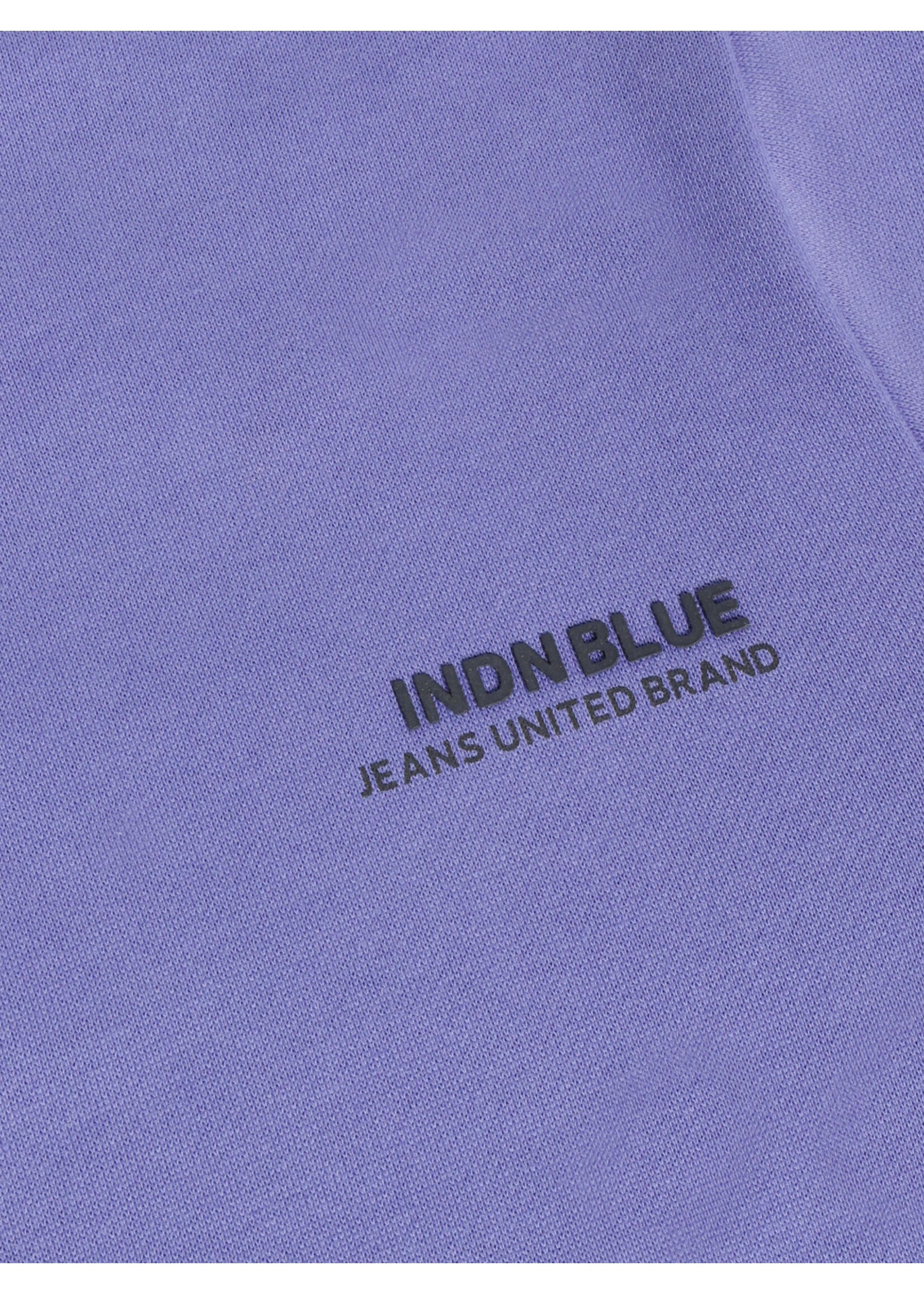 Indian blue jeans  Sweater Indian Chestprint 960752 - paars