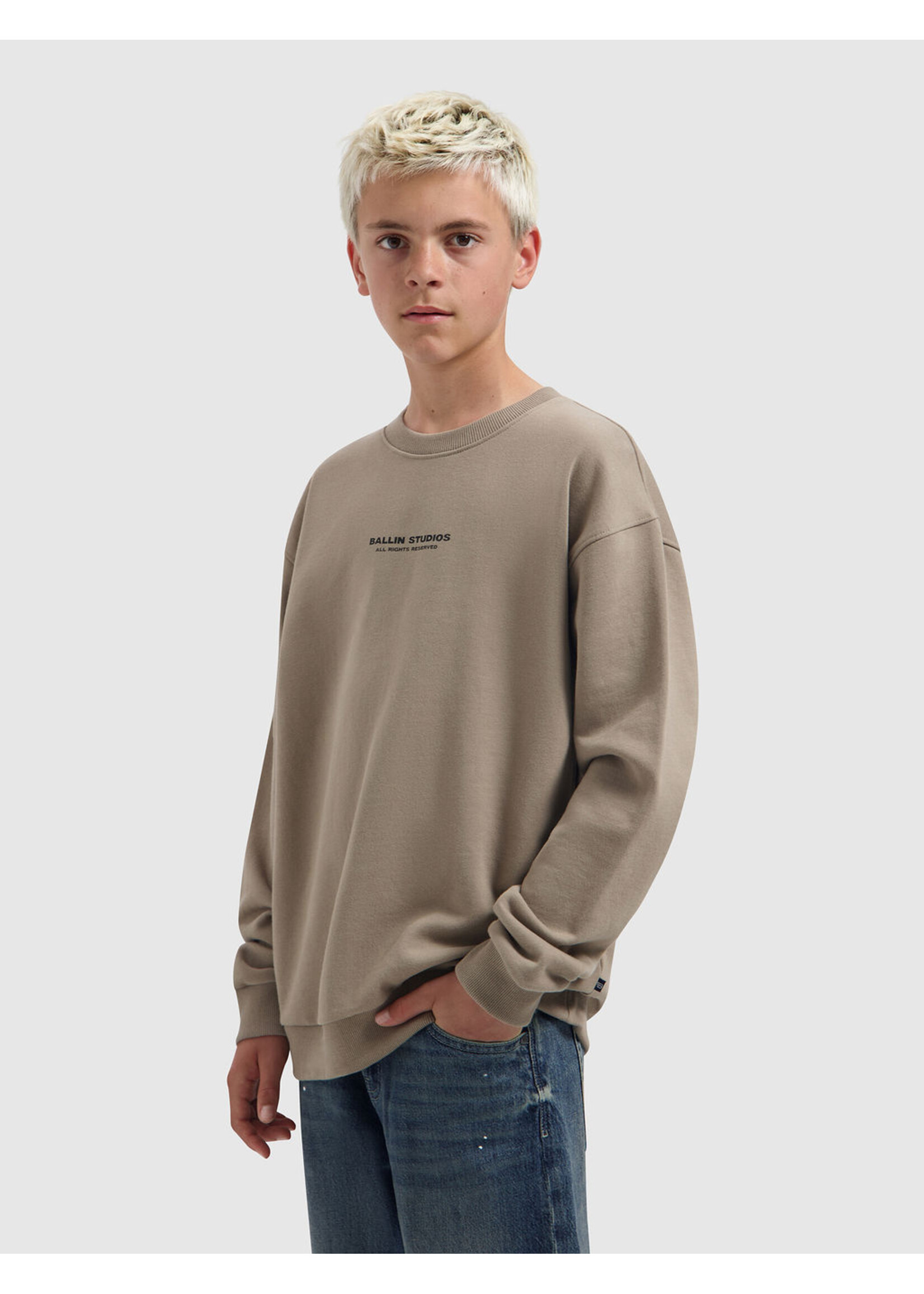 Ballin Sweater LP Crewneck (26037327) - taupe