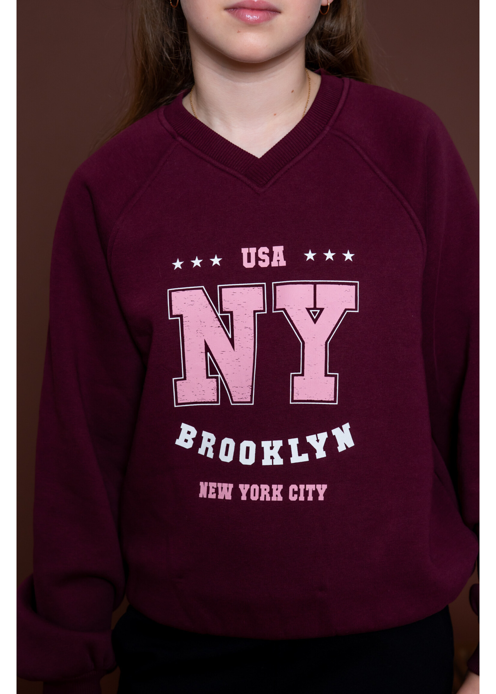 Geisha Sweater balloon NY 62551 - bordeaux/roze