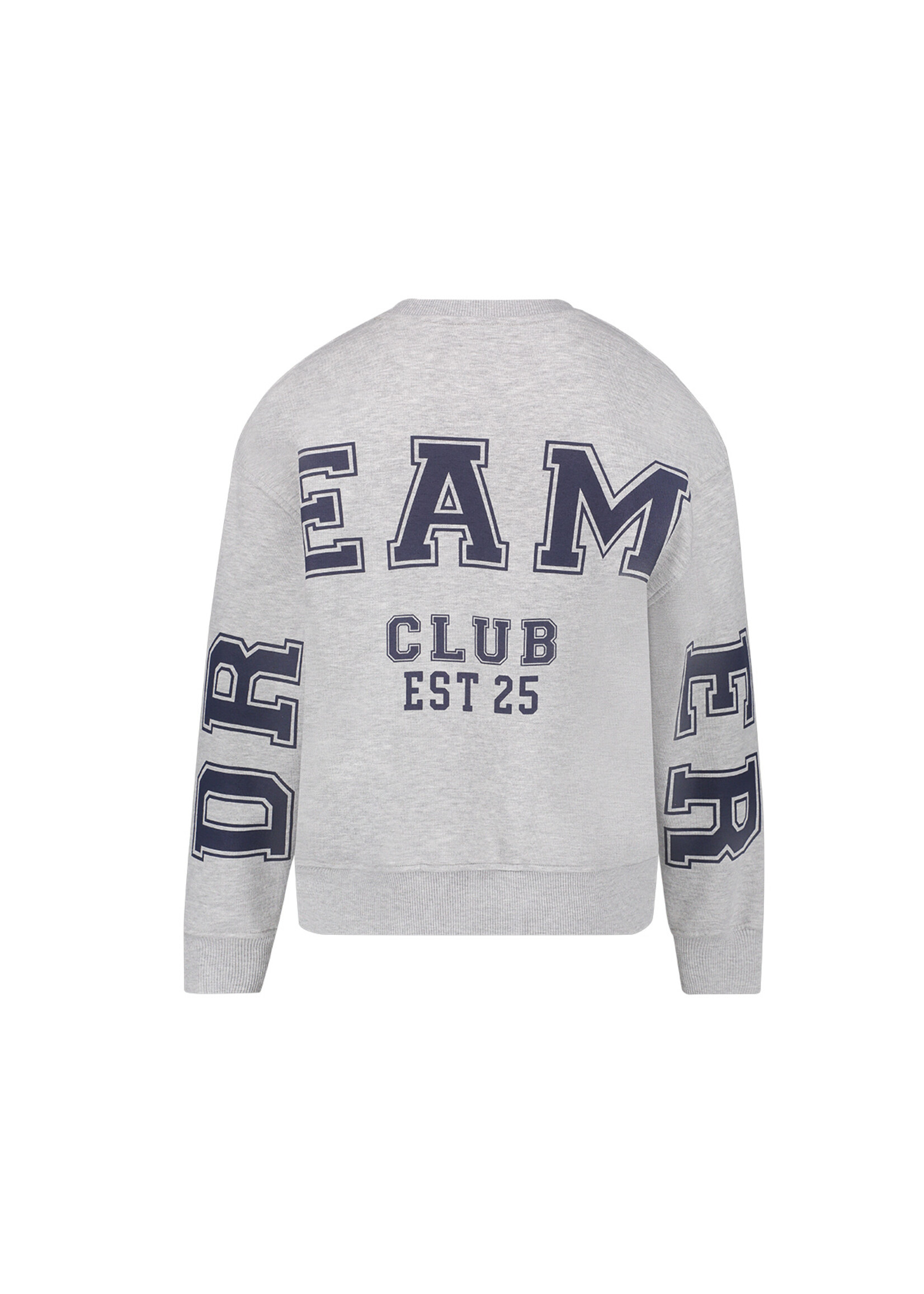 Geisha SweaterBig backprint 62631 - grijs melange/donkerblauw