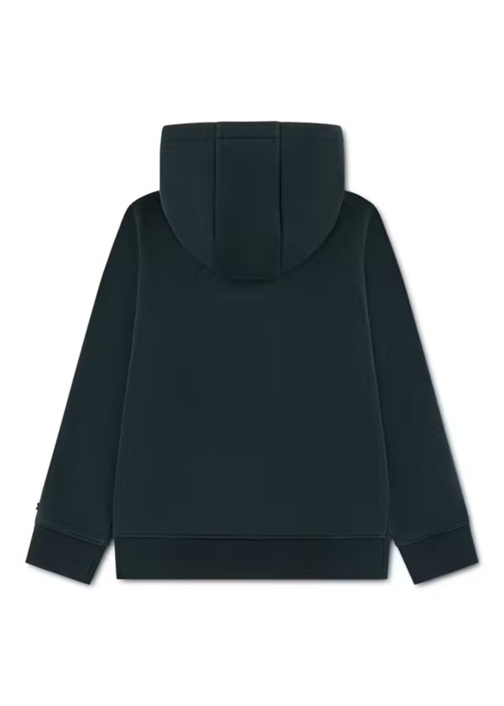 Lacoste Hoodie  947824-GJP - groen