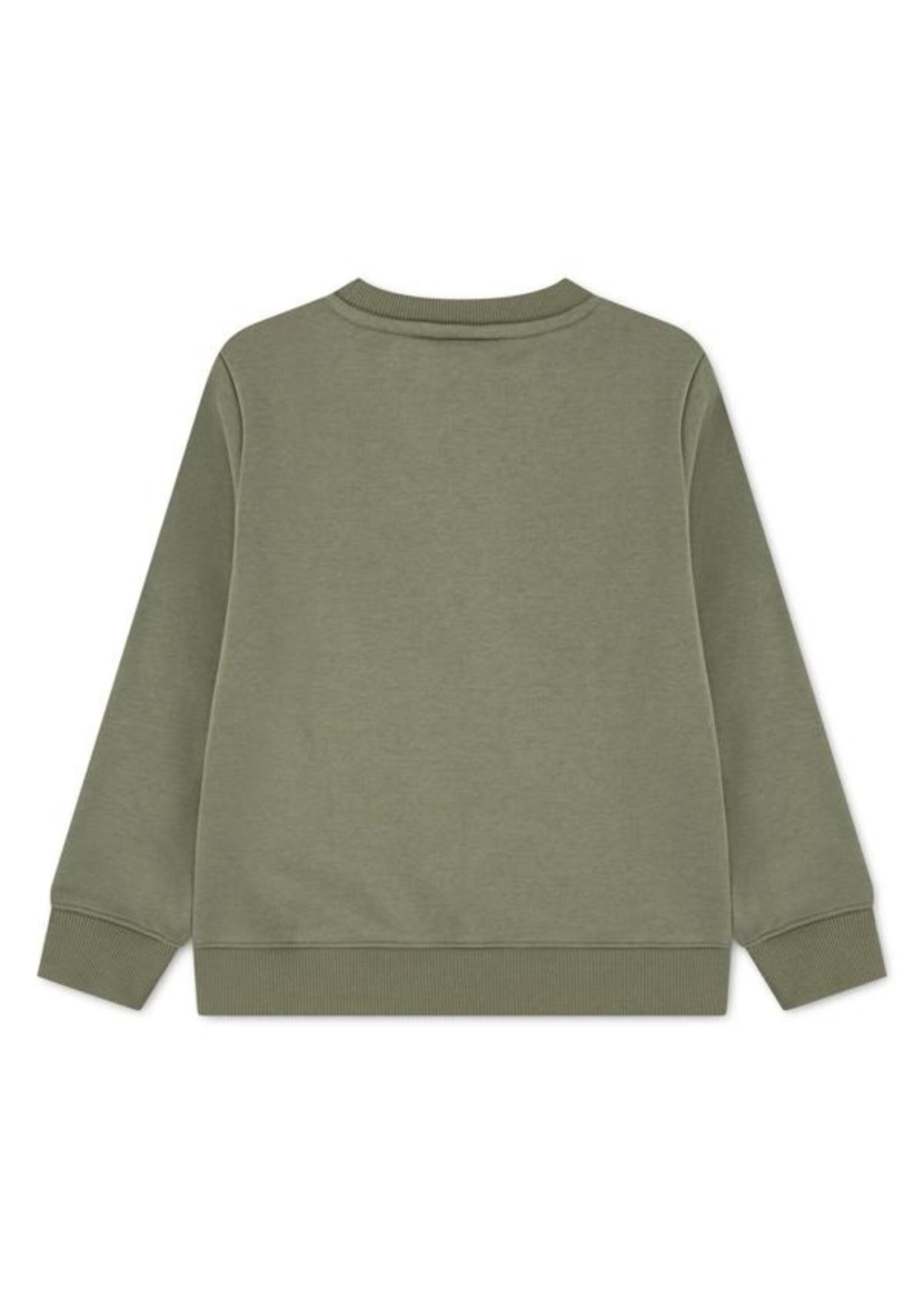 Lacoste Sweater 947879-BMY - groen