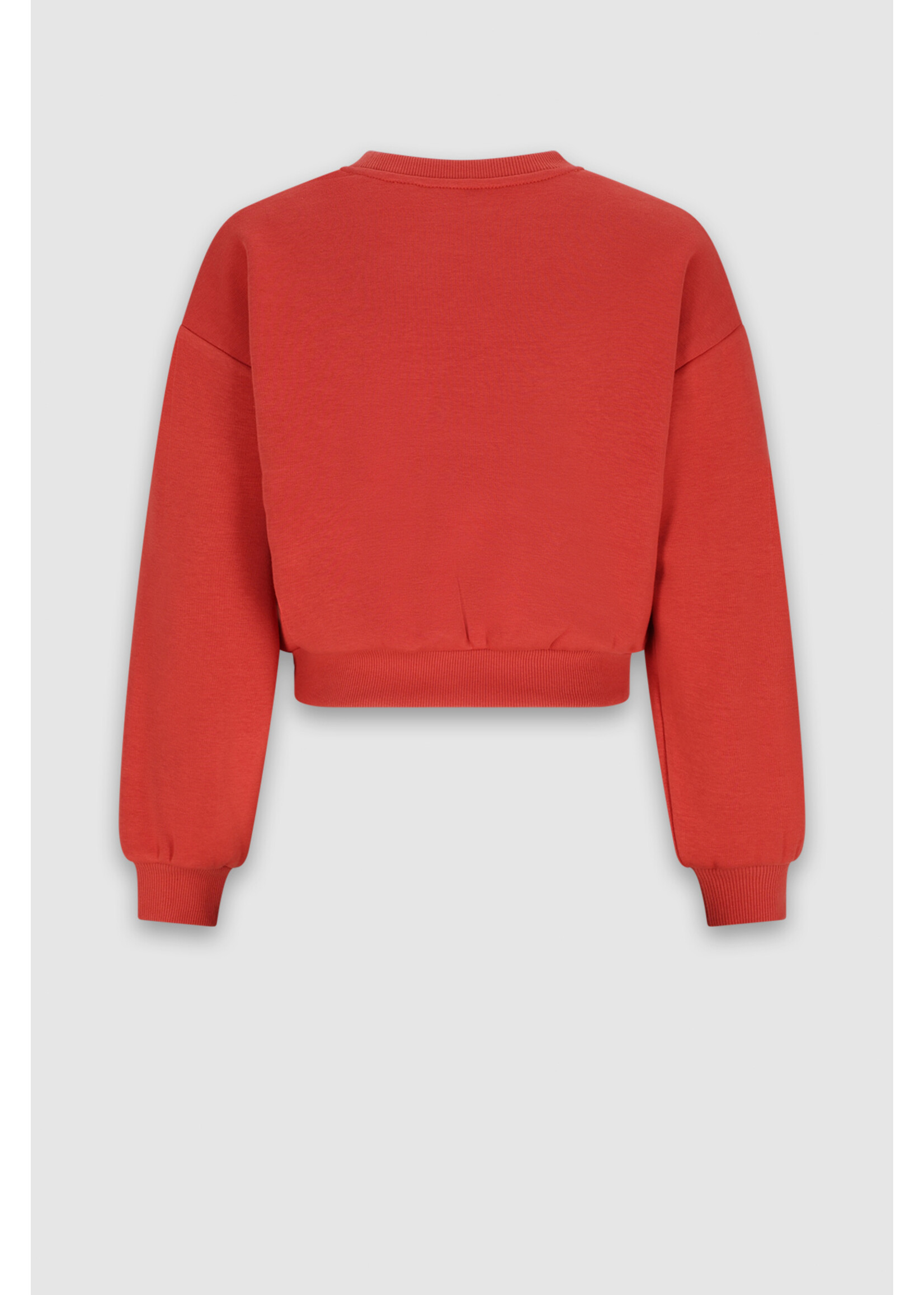Nobell Sweater 3300 Kim Fluffy Sweater Archive Studio Print - bruin