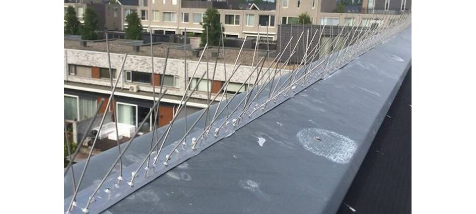 Duivenpinnen woonhuis