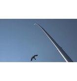Black Hawk kite incl. aluminum pole 12,5 meters