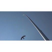 Black Hawk kite incl. aluminum pole 12,5 meters