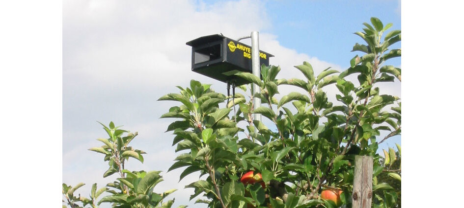 Vogelwering in fruitteelt