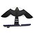 Black Hawk kite + 7 meters pole