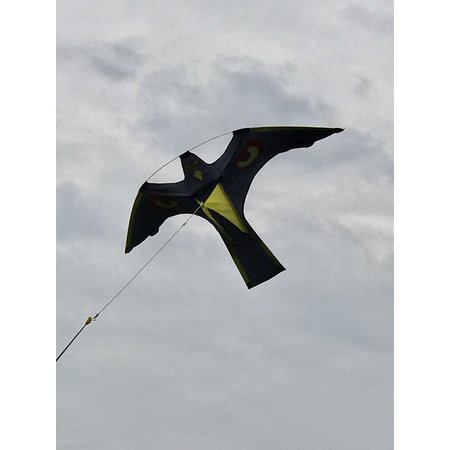 Bird Scaring Kite on 4 meter high mast with rotating base