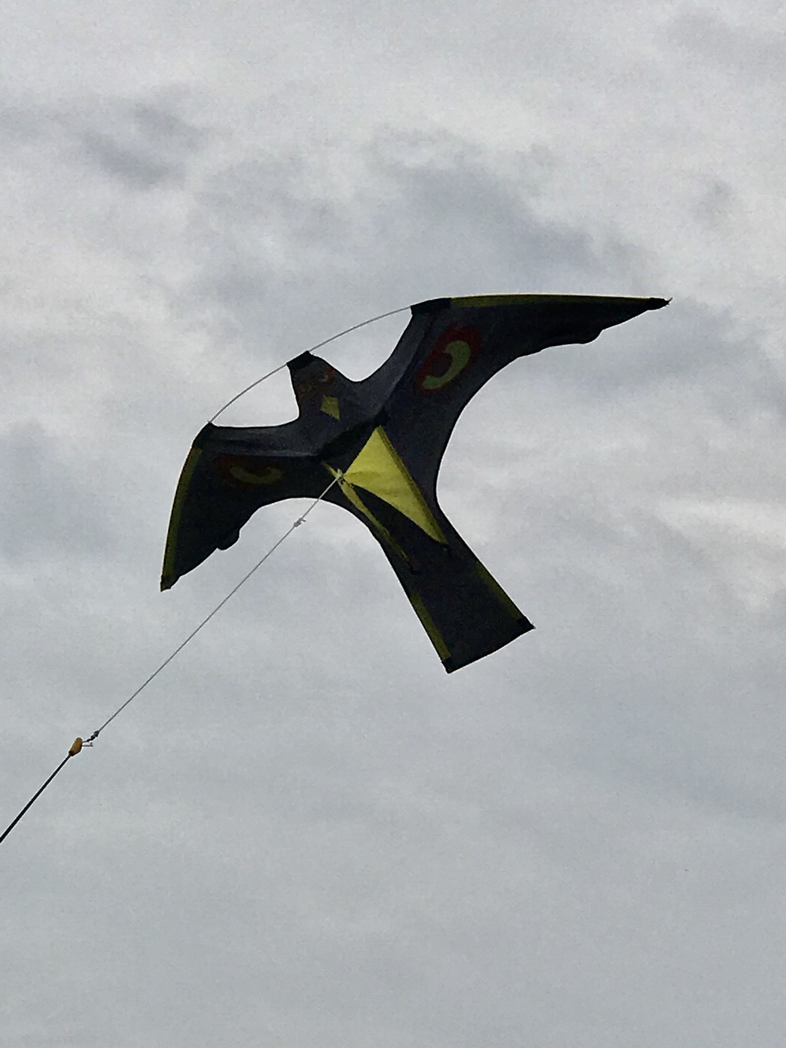 Bird Scaring Kite op 4 meter hoge mast met voet Alcetsound