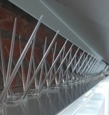 Kunststof duivenpinnen MIC230 op 0,5 mt Polycarbonaatstrip 50 cm met 30 POLY- pinnen