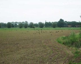 Bird protection in arable farming