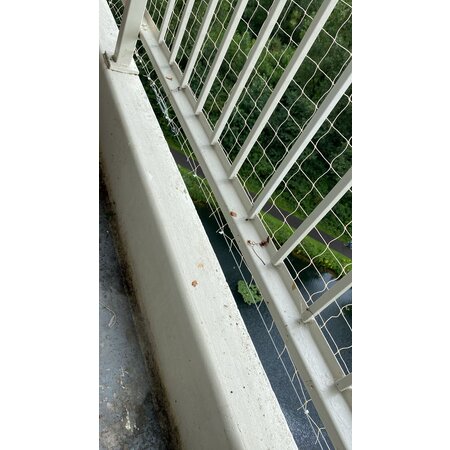 Bird net Do-It-Yourself package - black - 5 x 5 meter