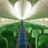 Transavia reistas