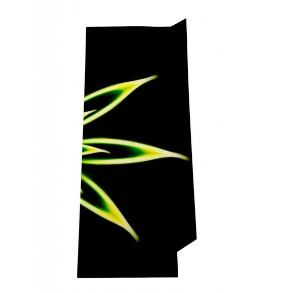 Playstation 4 Sticker Luminous Flower