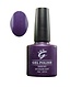 IBN Gel Nail Polish Violets Shine