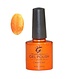 IBN Gel Nail Polish Shinny Sinas