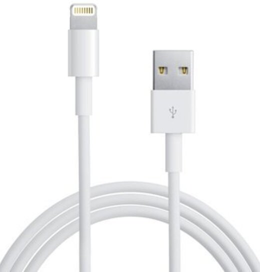 Apple Ladekabel 1m