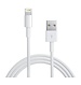 Apple Lightning Cable 1M Original