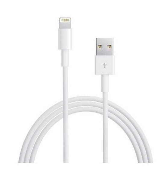 1 Meter USB Cable IPad Air Lightning Dock Connector