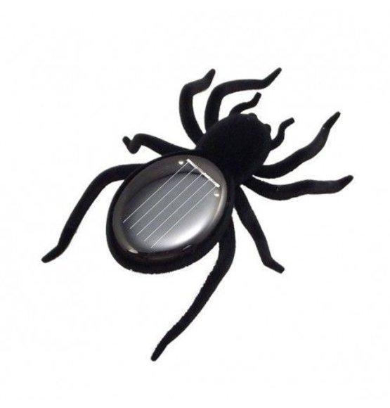 Spider On Solar Energy