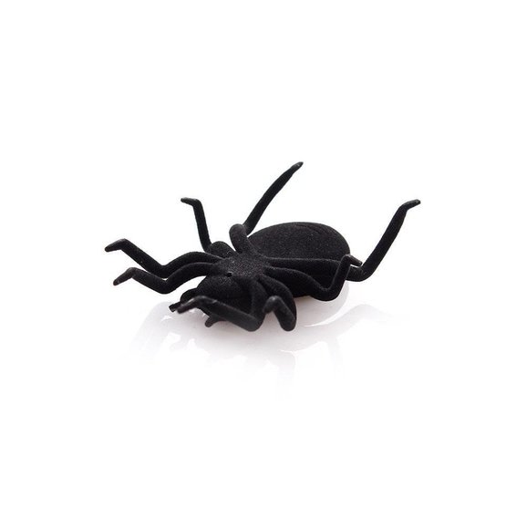 Spider On Solar Energy