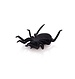 Spider On Solar Energy