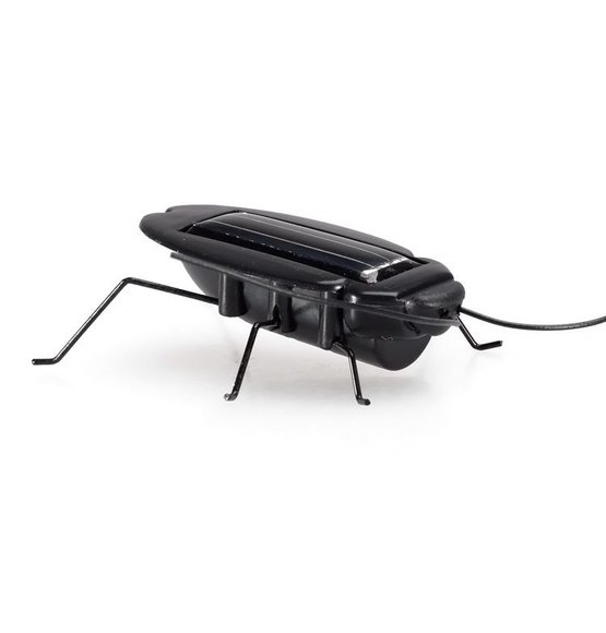 Cockroach On Solar Energy