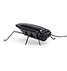 Cockroach On Solar Energy