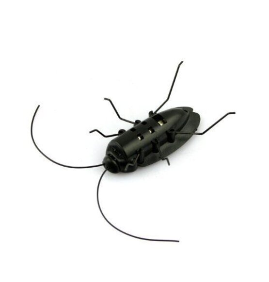 Cockroach On Solar Energy