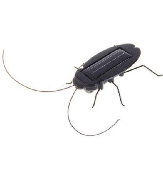 Cockroach On Solar Energy