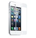 Glass Screen Protector IPhone 5