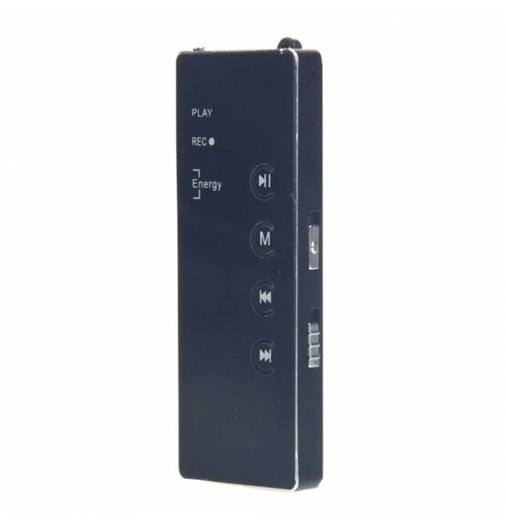 Mini Voice Recorder