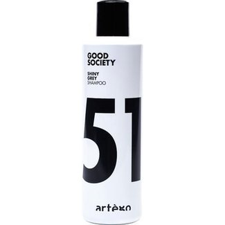 ARTEGO Shiny Gray SHampoo, 250ml