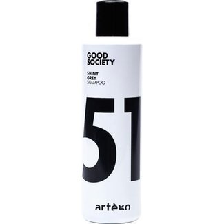 ARTEGO Shiny Grey Shampoo, 250ml