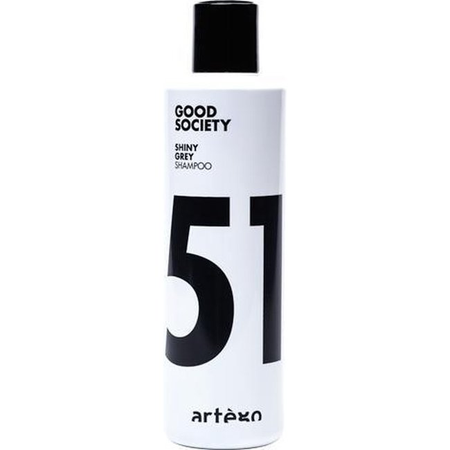 ARTEGO Shampoo gris brillant, 250 ml