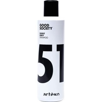 ARTEGO Good Society Shiny Gray Shampoo, 250ml