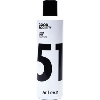 ARTEGO Shampooing gris brillant Good Society, 250 ml