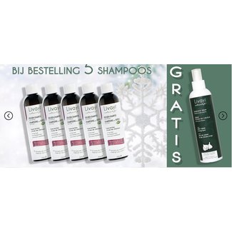 Livayi 5 x 250ml Garlic Shampoo Classic + Garlic Serum 250ml Free