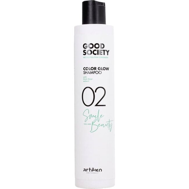 ARTEGO Good Society Rich Color Shampoo 02 , 250ml