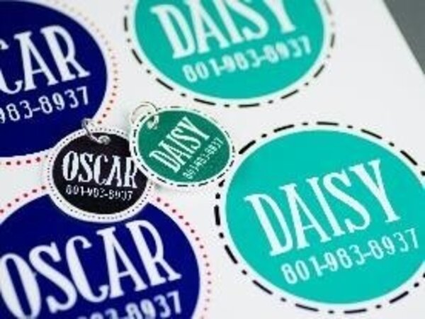 Silhouette Krimpfolie - Wit Silhouette Krimpfolie - Wit