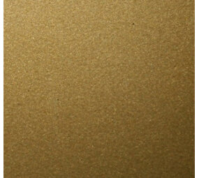 Vel Gold (M) Vel Gold (M)