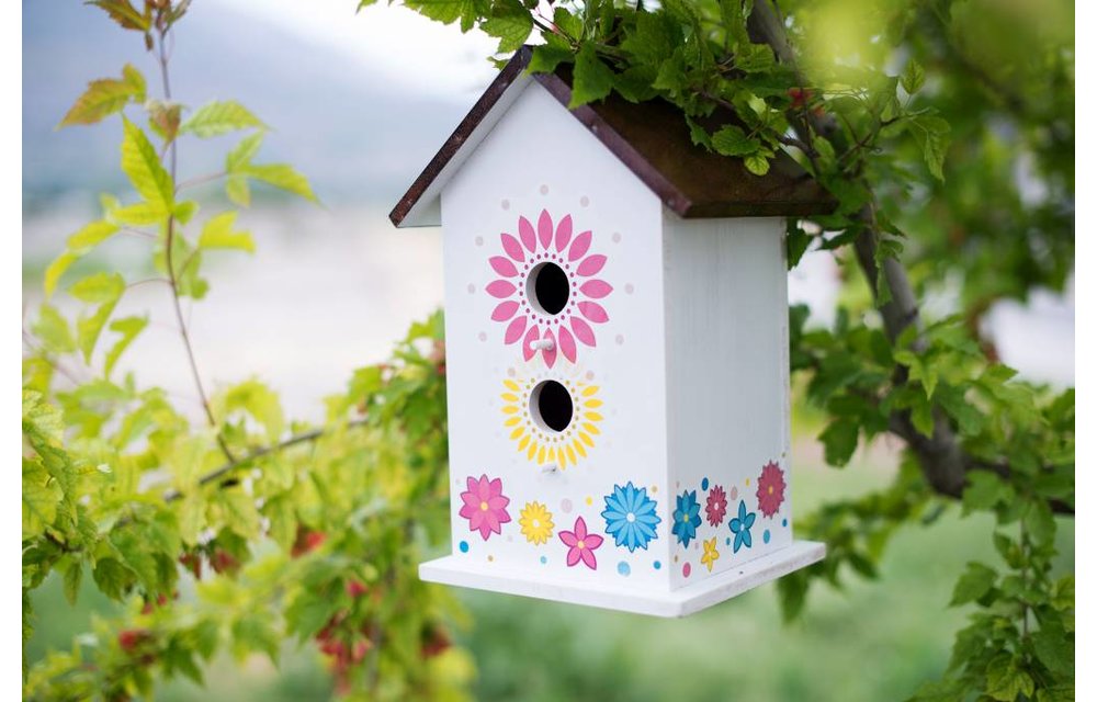 Image Transfer Paper