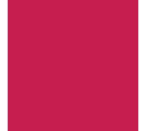 Flexfolie EasyWeed ™ Electric Cherry Flexfolie EasyWeed ™ Electric Cherry