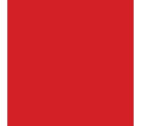 Flexfolie EasyWeed ™ Electric Red Flexfolie EasyWeed ™ Electric Red