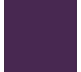 Flexfolie EasyWeed ™ Purple Flexfolie EasyWeed ™ Purple