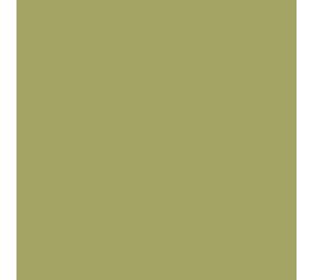 Flexfolie EasyWeed ™ Vegas Gold Flexfolie EasyWeed ™ Vegas Gold