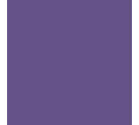 Flexfolie EasyWeed ™ Wicked Purple Flexfolie EasyWeed ™ Wicked Purple
