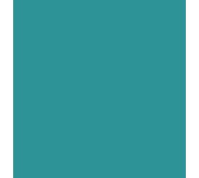 Flexfolie EasyWeed ™ Teal Flexfolie EasyWeed ™ Teal