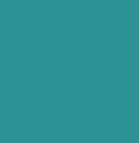 Flexfolie EasyWeed ™ Teal Flexfolie EasyWeed ™ Teal